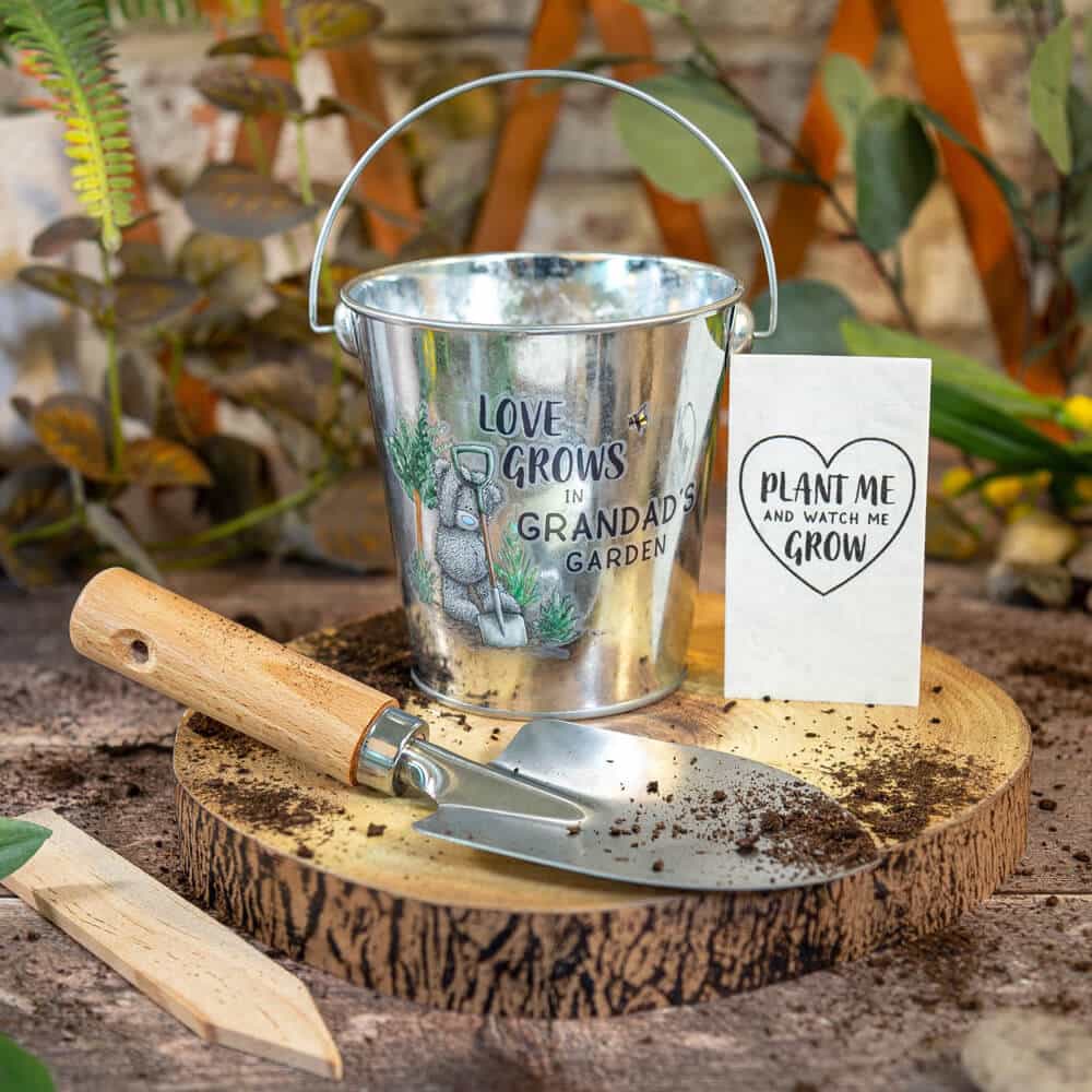 grandad plant pot Father's Day: Grandad Plant Pot Gift Set