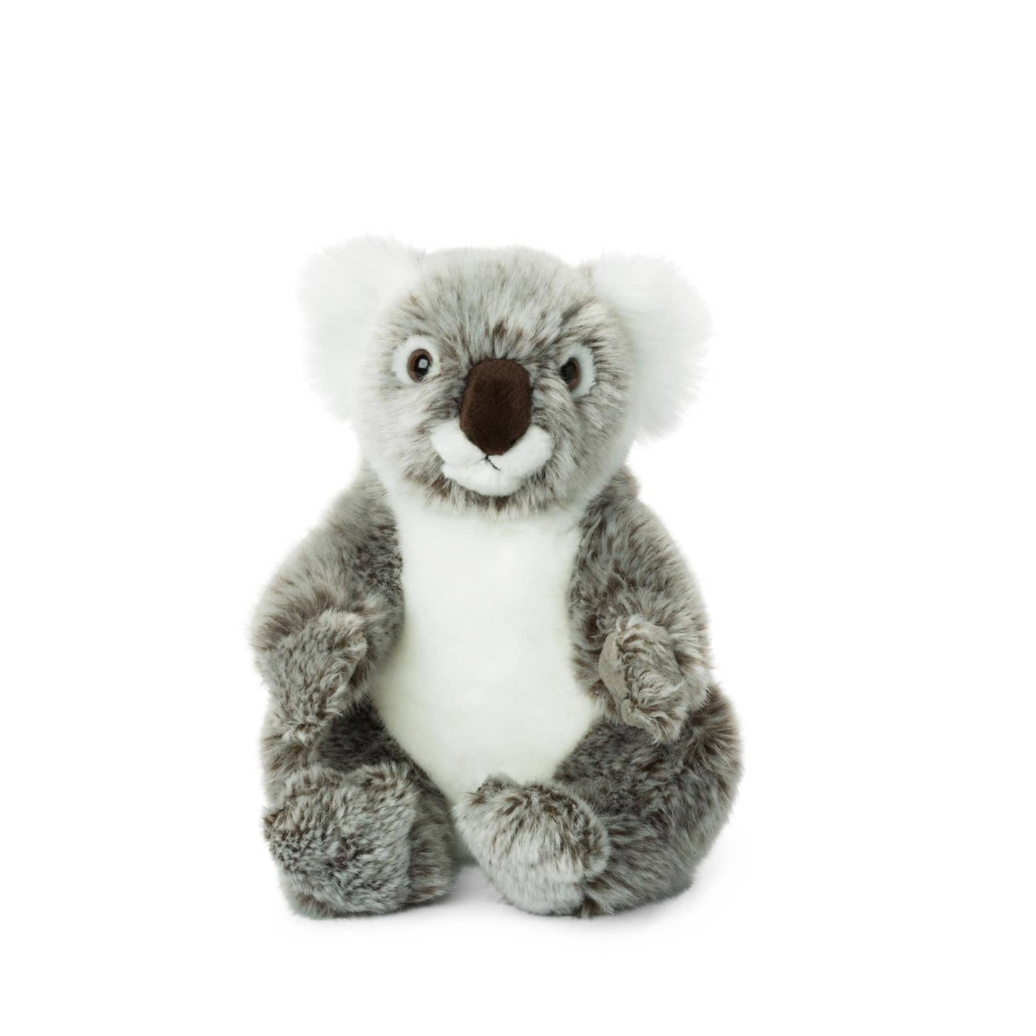 Koala Plush The Plush Kingdom