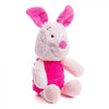 Piglet Beanie Plushie The Plush Kingdom